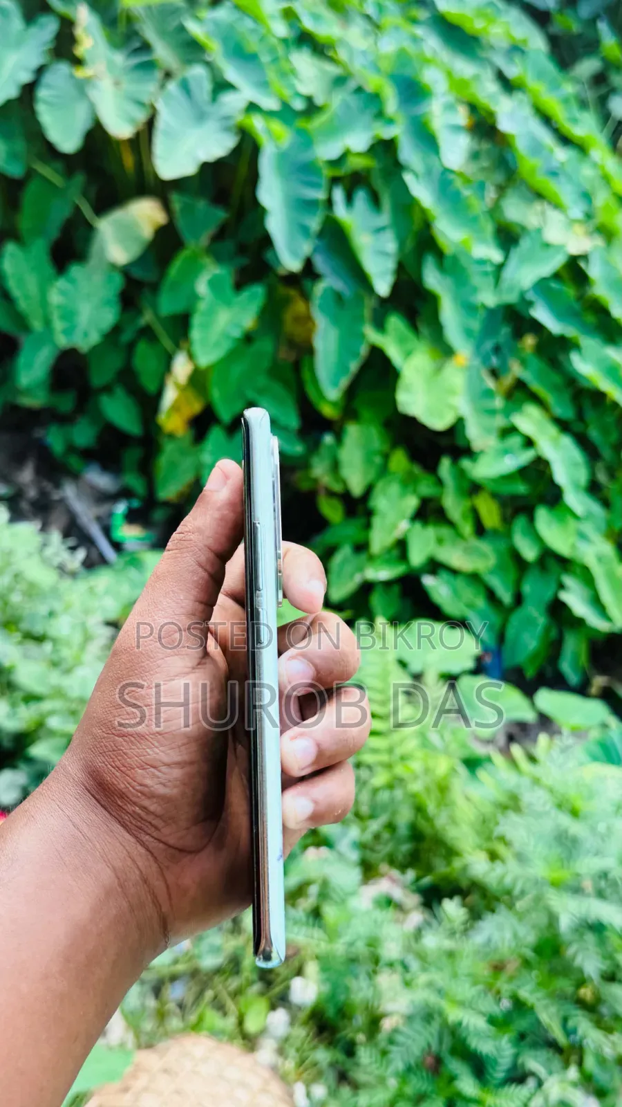 Oppo Reno11 256 GB Green