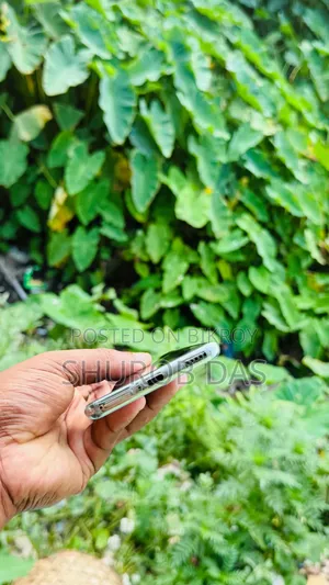 Oppo Reno11 256 GB Green
