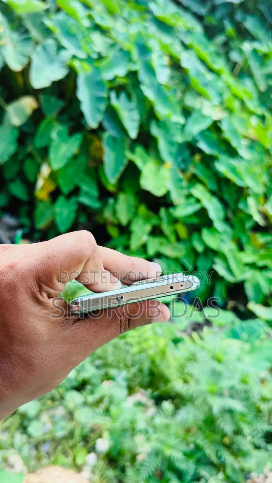 Oppo Reno11 256 GB Green