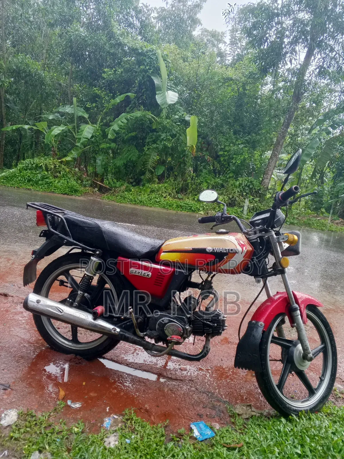 Walton Ranger 2018 Red