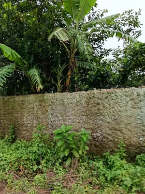 Block-N, Near 300 Feet 200 Feet South Face 4 Katha Plot Sale