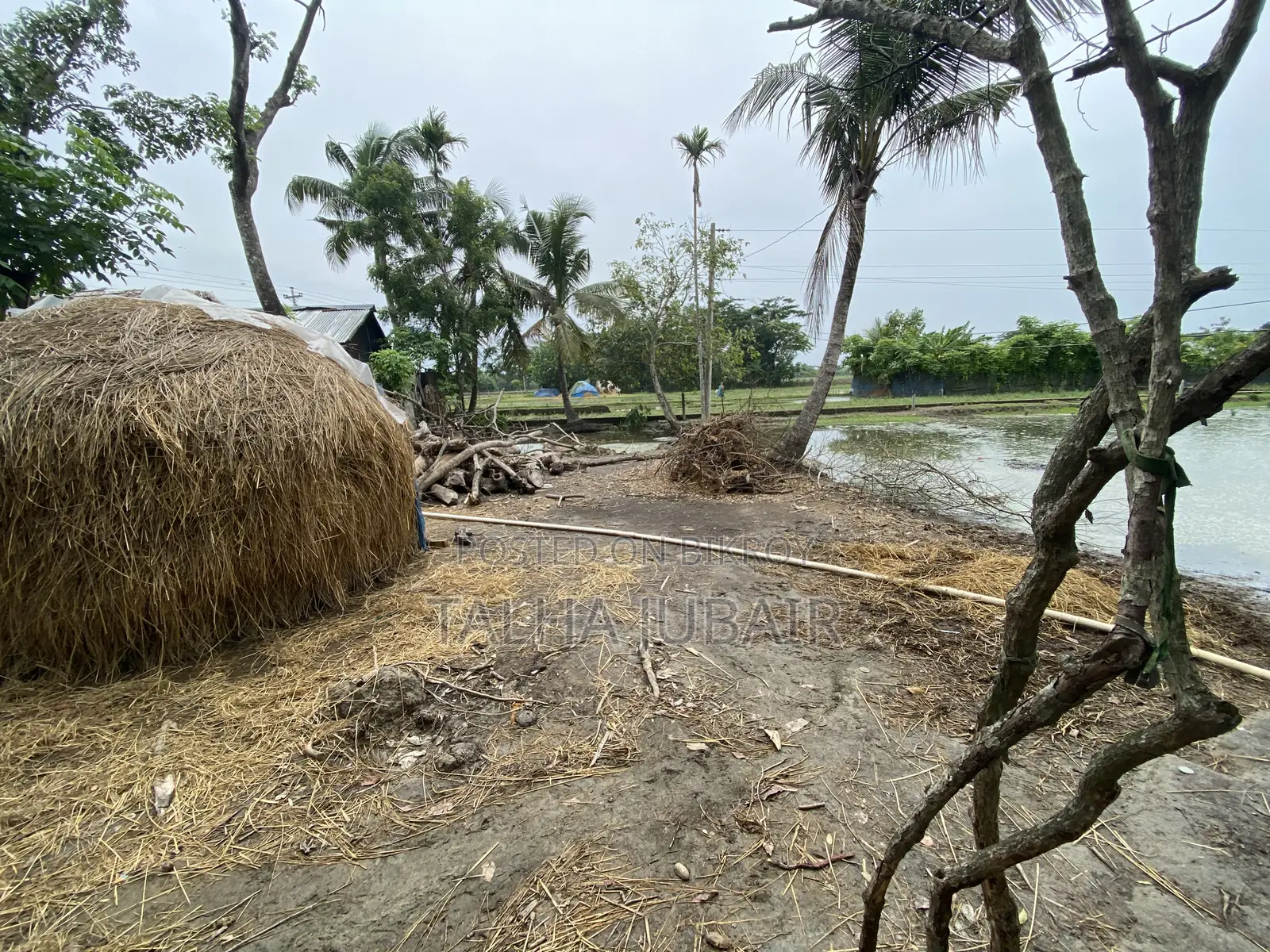 3 Katha land for sale