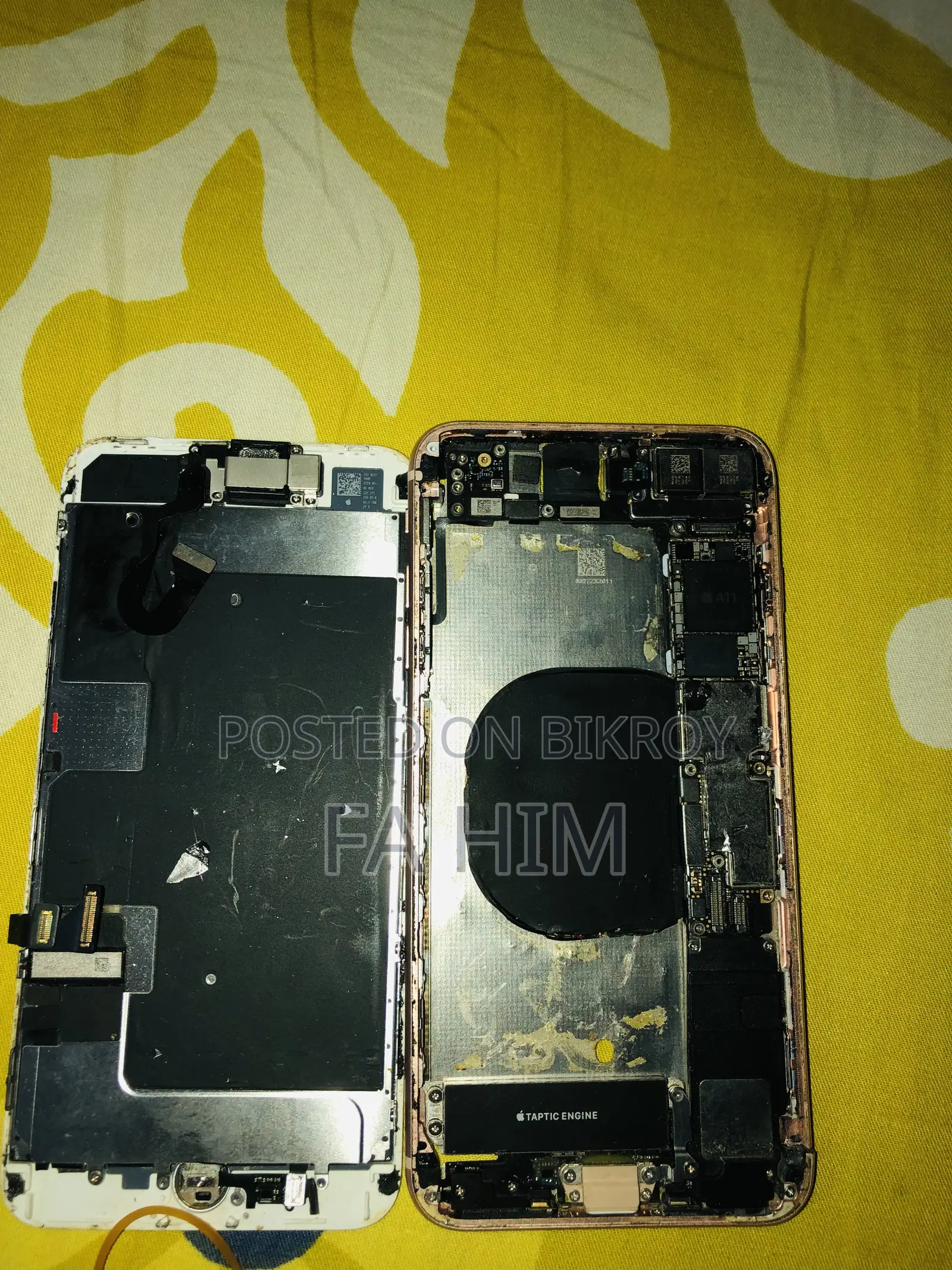Camera Touch ID all okay, display cracked