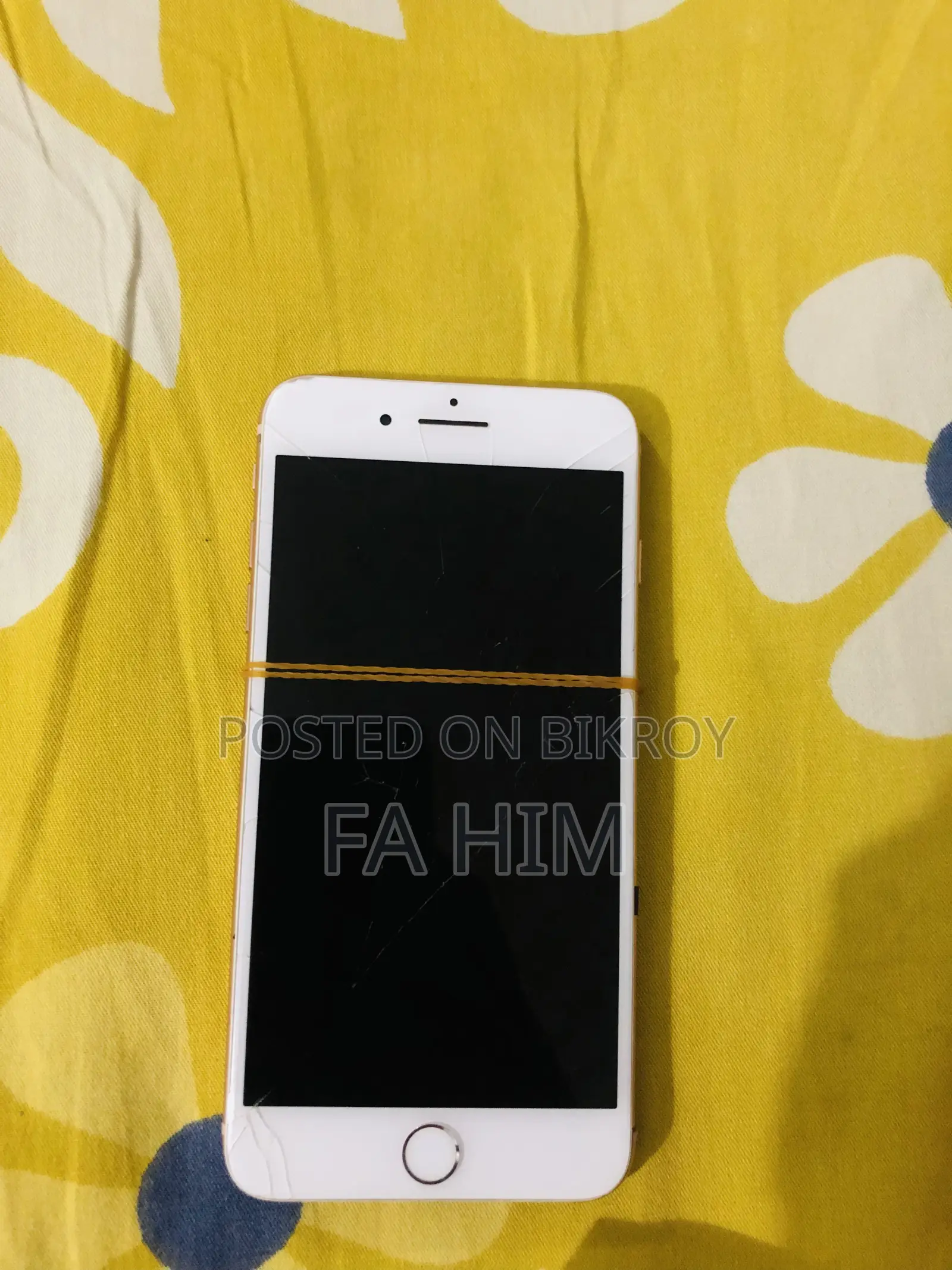 Camera Touch ID all okay, display cracked