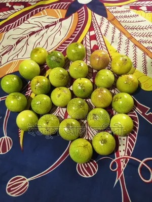 Anarkali / Tang Fruit