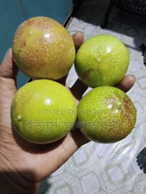Anarkali / Tang Fruit