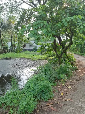 জমি বিক্রয়