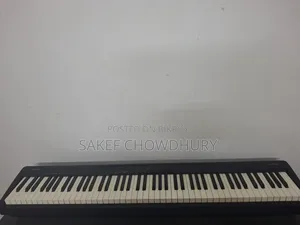 Roland Fp-10