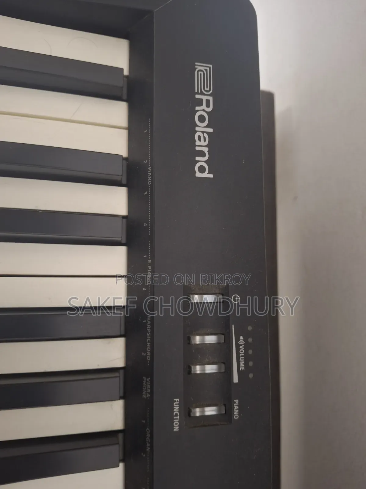Roland Fp-10