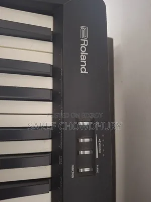 Roland Fp-10