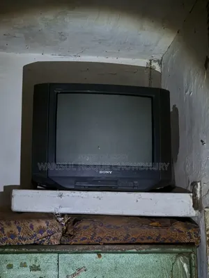 Television (TV)