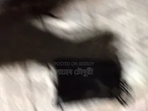 Recording Earphone