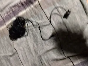 Recording Earphone