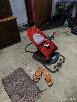 Baby Bouncer