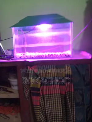 This is brand new and has lights, if anyone wants to take it