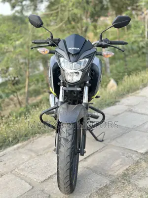 Honda Hornet 2020 Gray