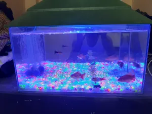 Aquarium Full Setup