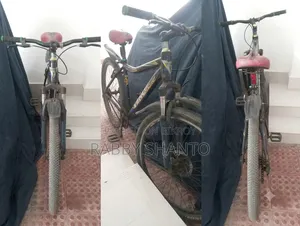 Non-gear Cycle