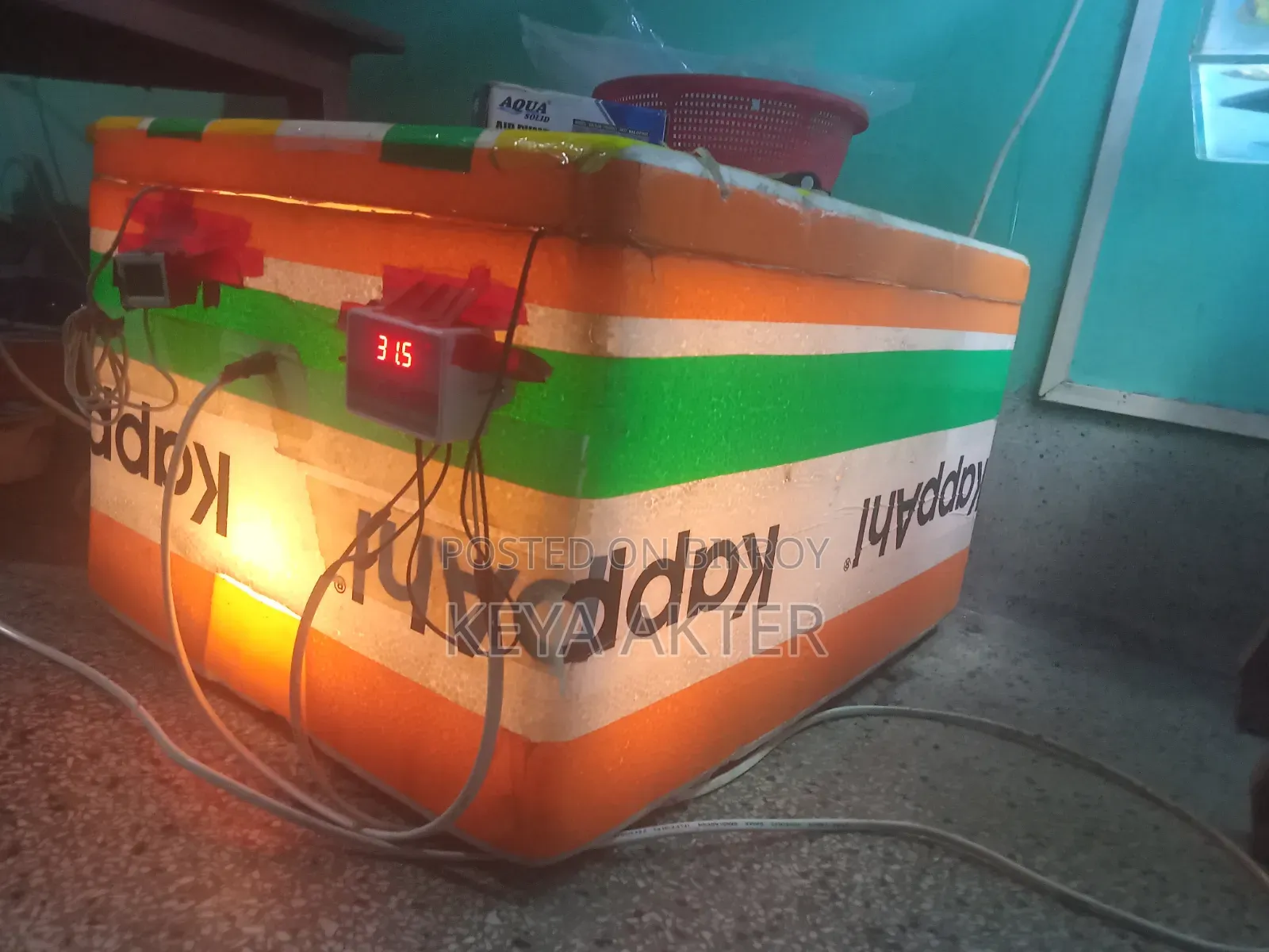 Incubator 2 Ft
