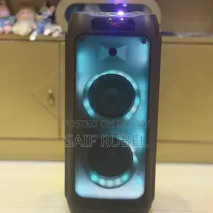 Vision Party Speaker 201 Model