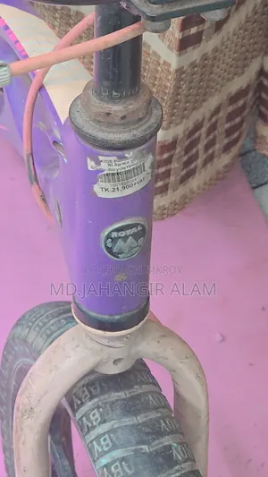 Purple Cycles