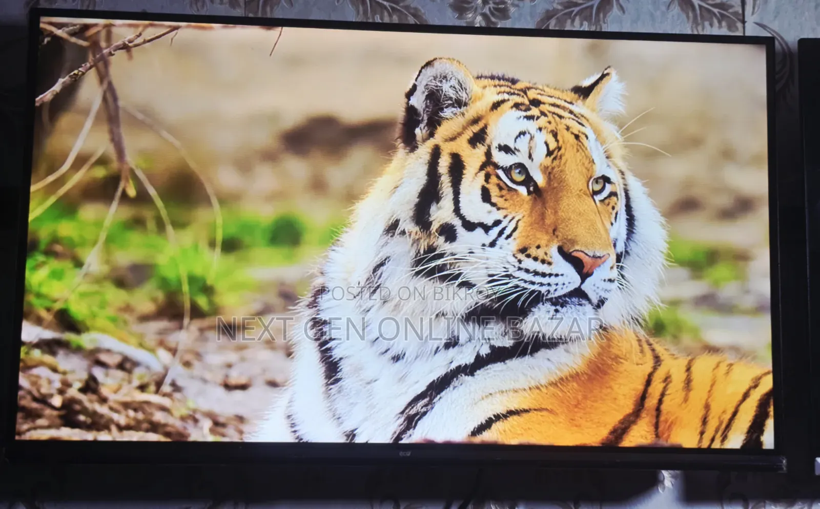 Eco+ 32" Smart LED TV (Replacement Guarantee)