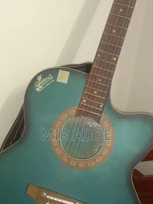 Signature Guitar Model 265 With Cover.