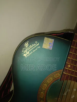 Signature Guitar Model 265 With Cover.