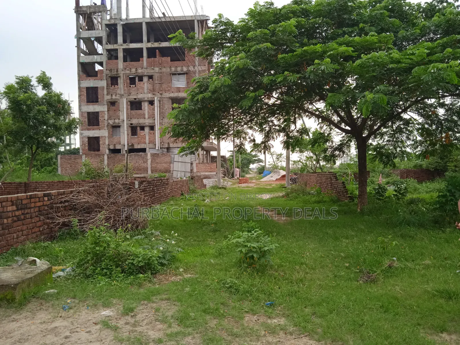 4 Katha South-Facing Premium Plot for Sale in Bashundhara Block M