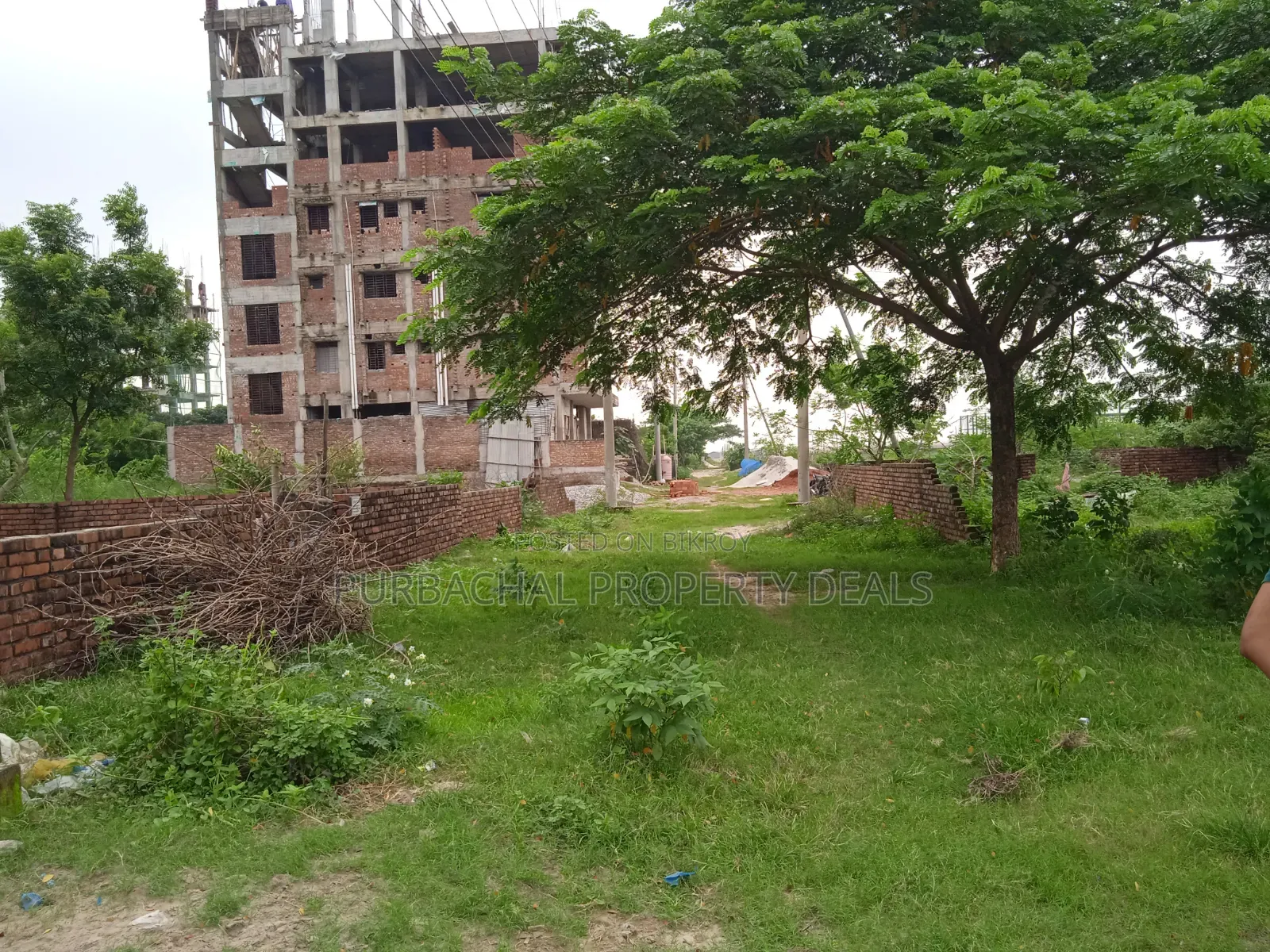 4 Katha South-Facing Premium Plot for Sale in Bashundhara Block M