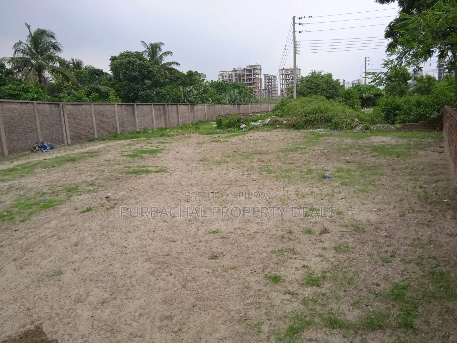 4 Katha South-Facing Premium Plot for Sale in Bashundhara Block M