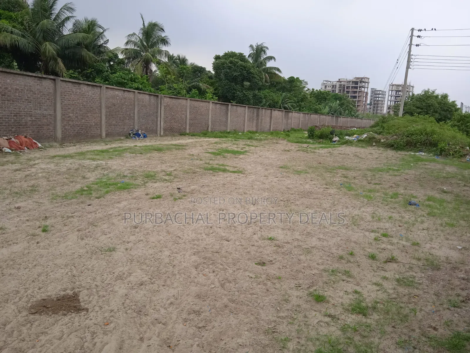 4 Katha South-Facing Premium Plot for Sale in Bashundhara Block M