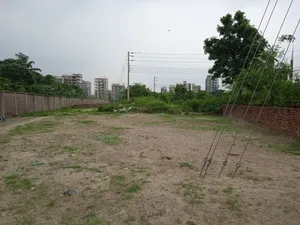 4 Katha South-Facing Premium Plot for Sale in Bashundhara Block M