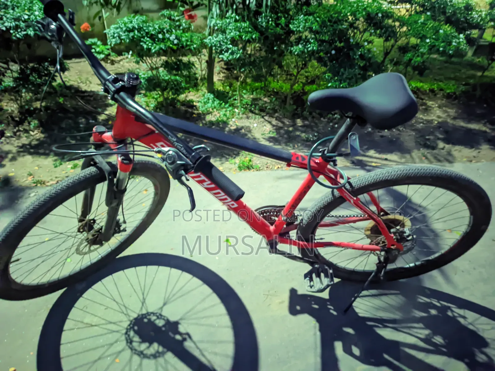 Used Bicycle