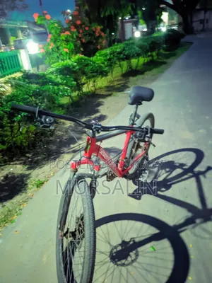 Used Bicycle