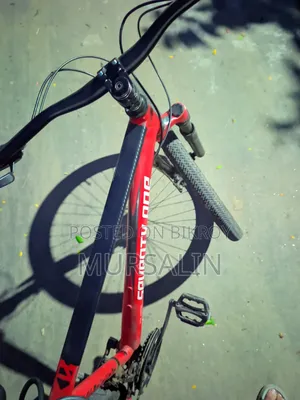 Used Bicycle