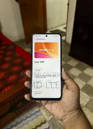 Vivo Y29 128 GB Gray