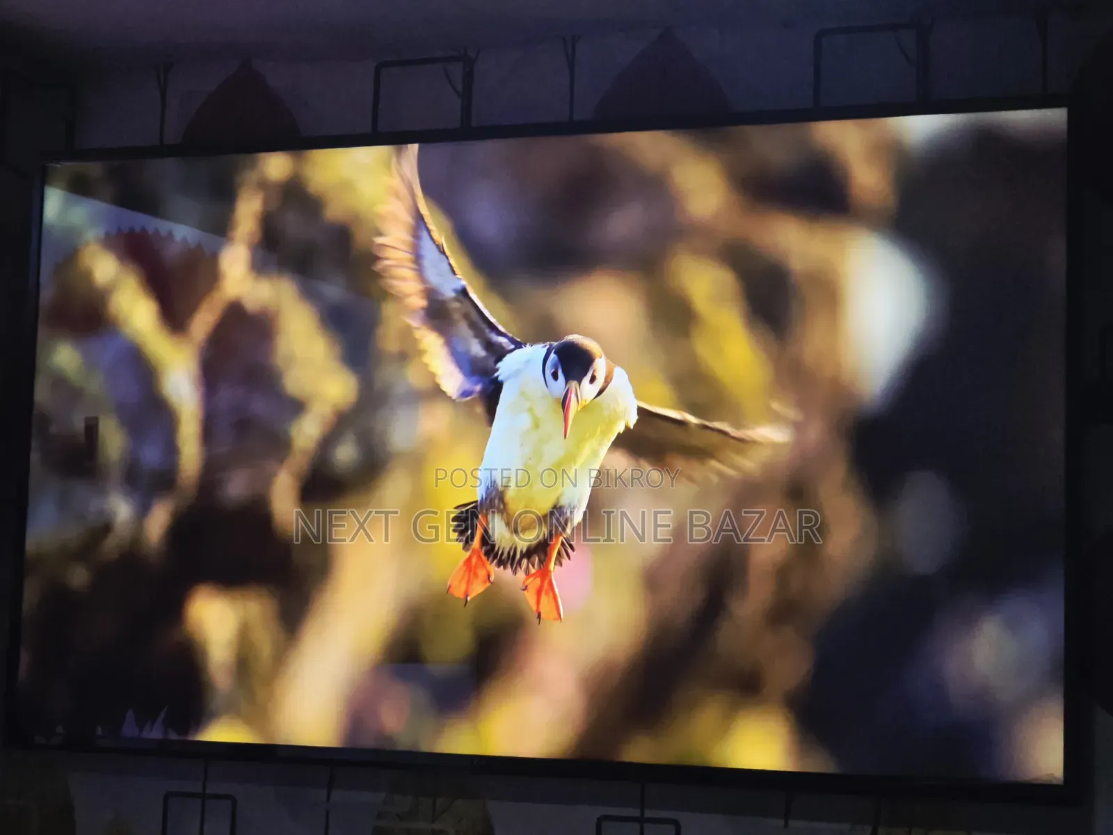 Sony Bravia 55" Google Tv (1 Years Warranty)