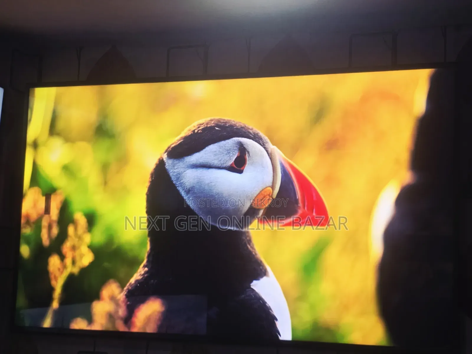 Sony Bravia 55" Google Tv (1 Years Warranty)