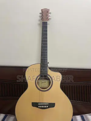 Deviser Guitar