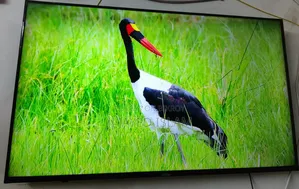 Haier LE43K6600UG 43 Inch Full HD Android Bezel-Less Smart LED