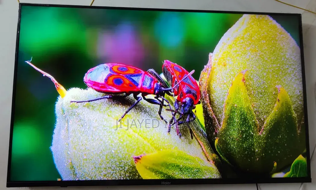 Haier LE43K6600UG 43 Inch Full HD Android Bezel-Less Smart LED