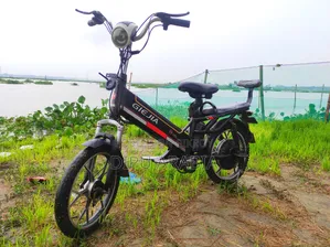 ইলেকট্রিক বাইসাইকেল
