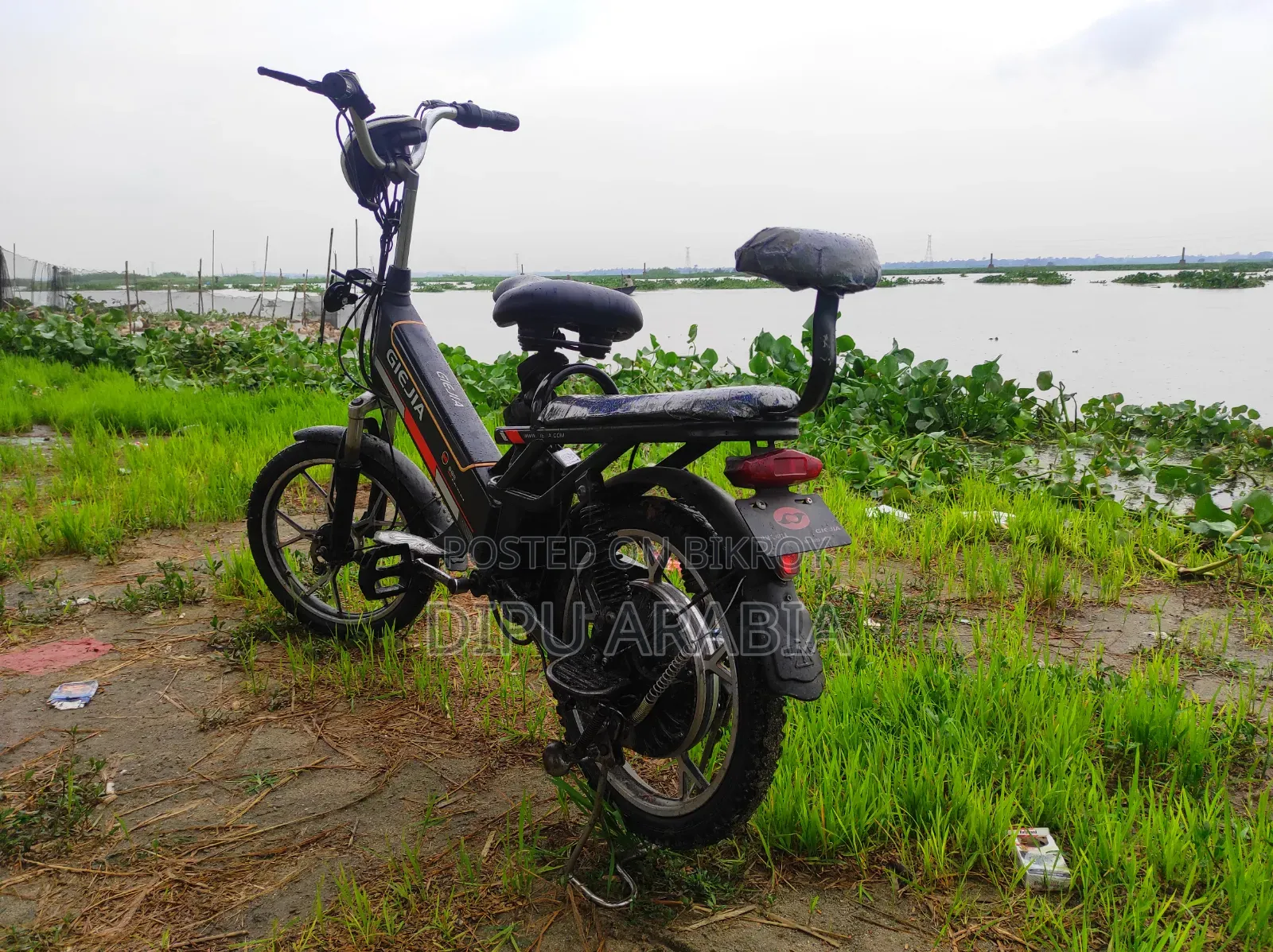 Electric Bicycle