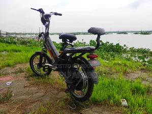 Electric Bicycle