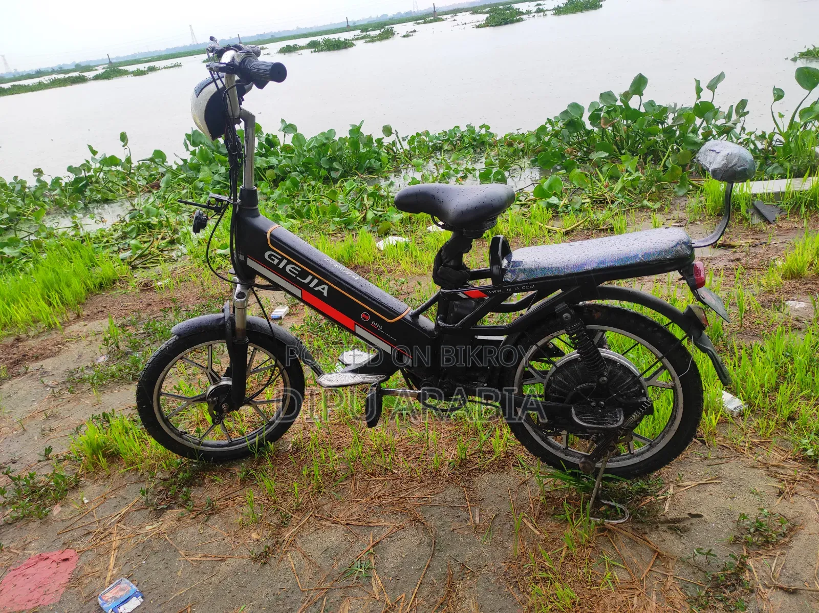 Electric Bicycle