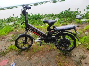 Electric Bicycle
