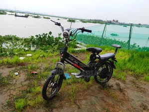 Electric Bicycle