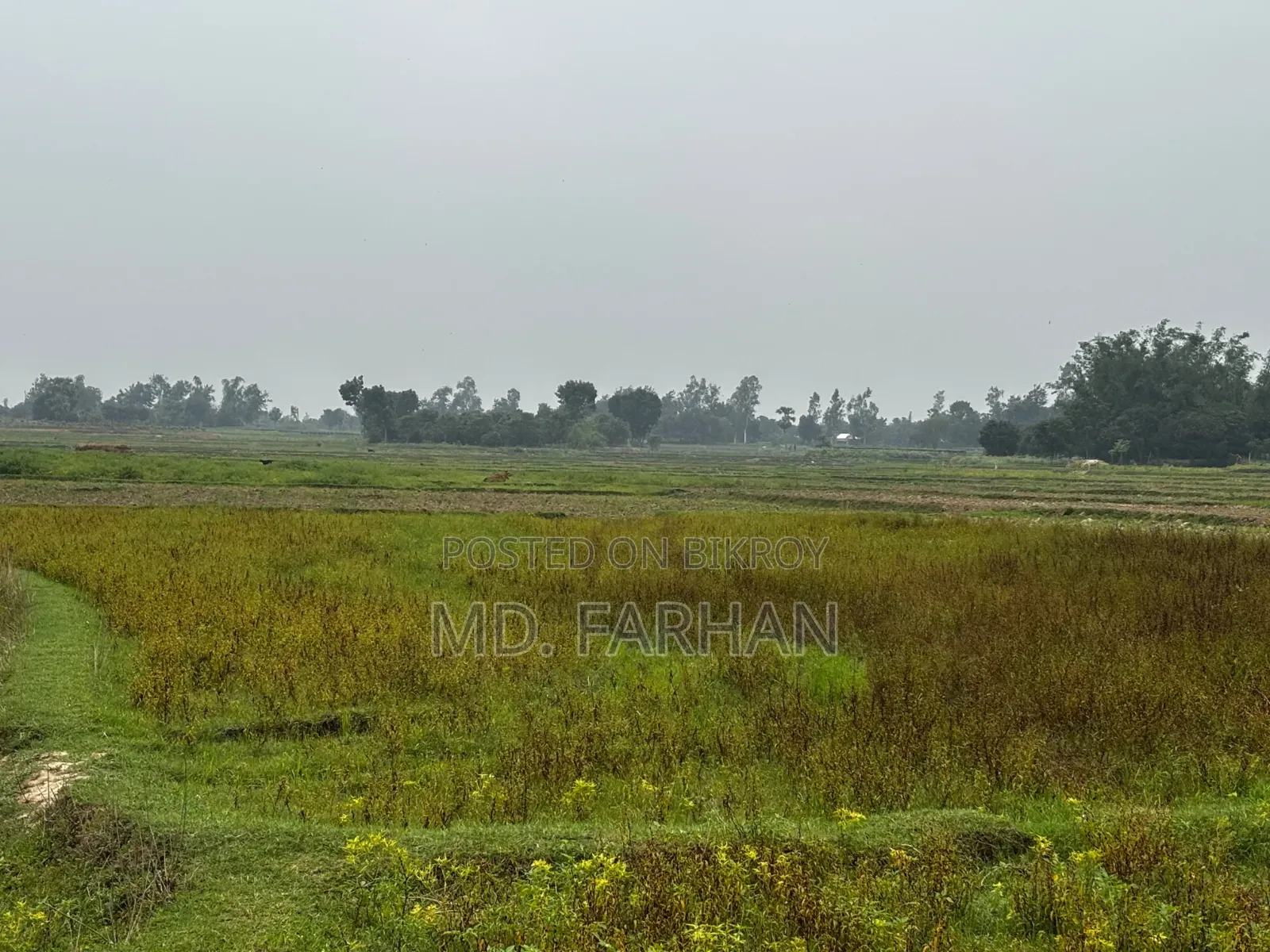 জমি বিক্রয় হবে