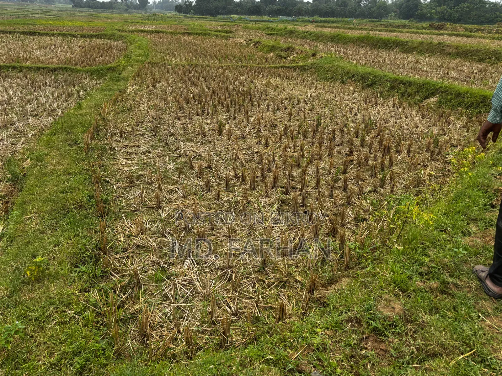 জমি বিক্রয় হবে